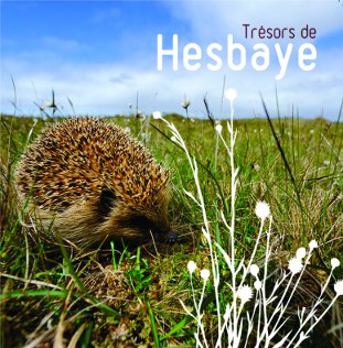 Tresors de Hesbaye