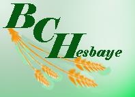 Logo BCH