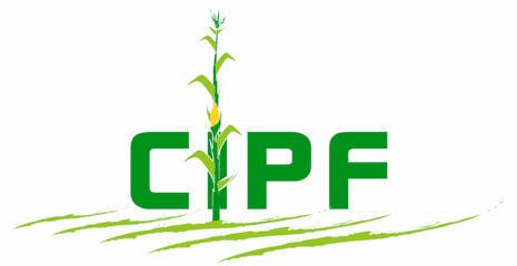 Logo CIPF fr sans asbl jpg