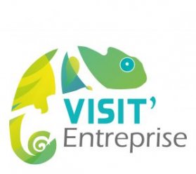 visitentreprise_logo-279x248